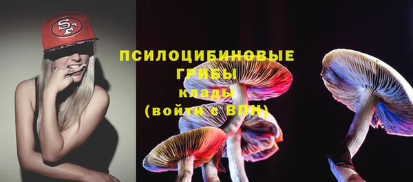 дживик Нягань