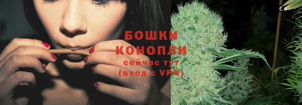 дживик Нягань