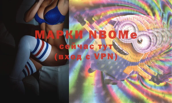 метадон Няндома