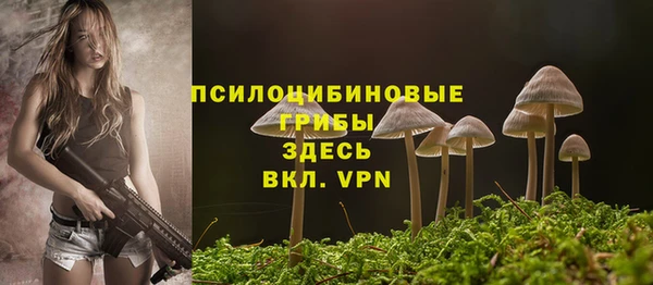 метадон Няндома