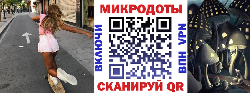 площадка как зайти  Бакал  блэк спрут как войти  Псилоцибиновые грибы GOLDEN TEACHER  наркотики 